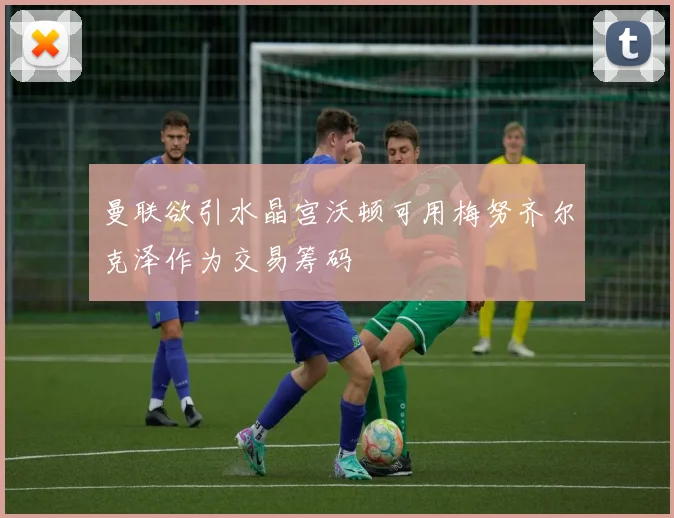曼联欲引水晶宫沃顿可用梅努齐尔克泽作为交易筹码