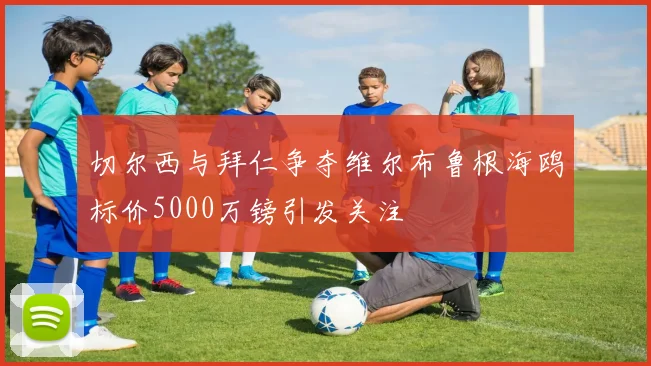 切尔西与拜仁争夺维尔布鲁根海鸥标价5000万镑引发关注