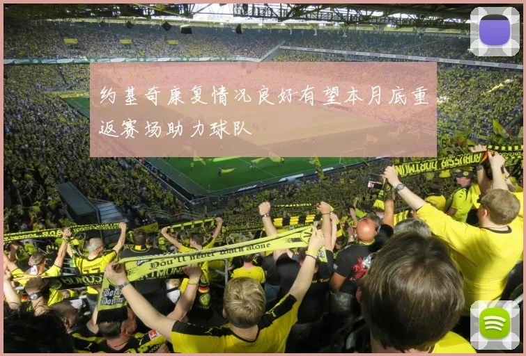 约基奇康复情况良好有望本月底重返赛场助力球队