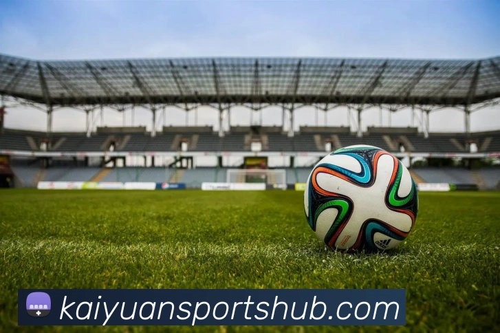 开元体育平台生态图