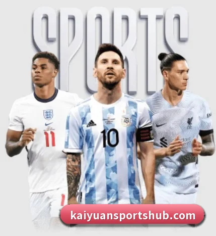 开元体育 APP 界面(kaiyuansports)